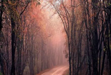 WTT新加坡大满贯男单半决赛：梁靖崑4-3战胜王楚钦晋级决赛央视新闻微博.