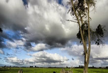 熊猫体育：[棋牌]第39届同里杯中国围棋天元赛预选赛对阵出炉.