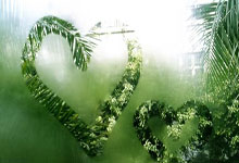 熊猫体育：比黄金涨得还快！羽毛球再度涨价涨幅超越黄金.